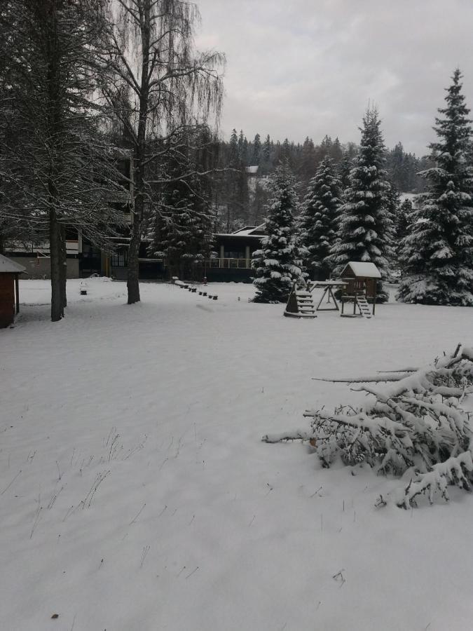 Hotel ČESKÁ FARMA Dolni Dvur Exterior foto